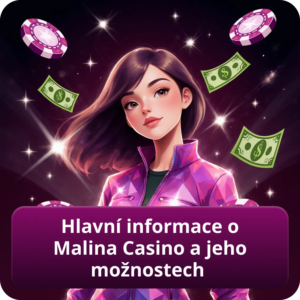 Hlavní informace o Malina Casino a jeho možnostech